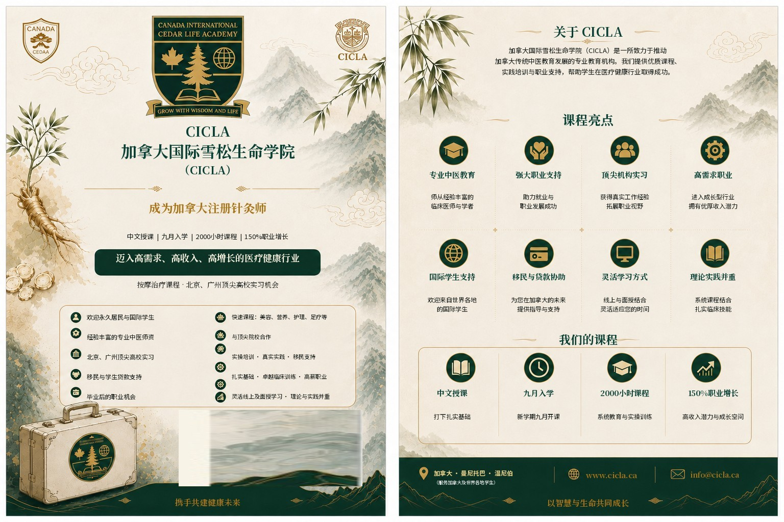 Registered Acupuncturist English Diploma Program poster